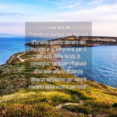 Picture 04 - Esodo 30:16 RIV - Prenderai dunque dai figliuoli d’Israele questo - Bible Verse Picture