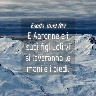 Picture 04 - Esodo 30:19 RIV - E Aaronne e i suoi figliuoli vi si laveranno le - Bible Verse Picture