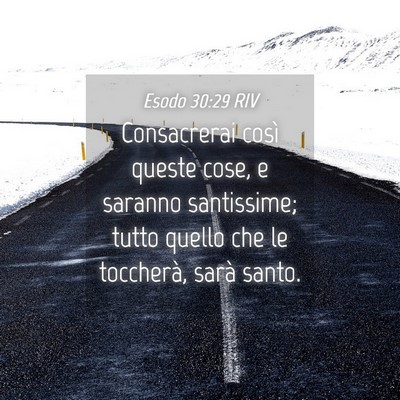 Picture 04 - Esodo 30:29 RIV - Consacrerai così queste cose, e saranno - Bible Verse Picture