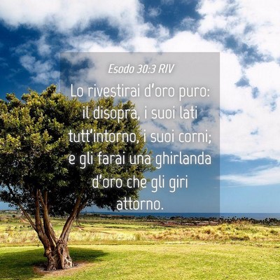 Picture 04 - Esodo 30:3 RIV - Lo rivestirai d’oro puro: il disopra, i suoi - Bible Verse Picture