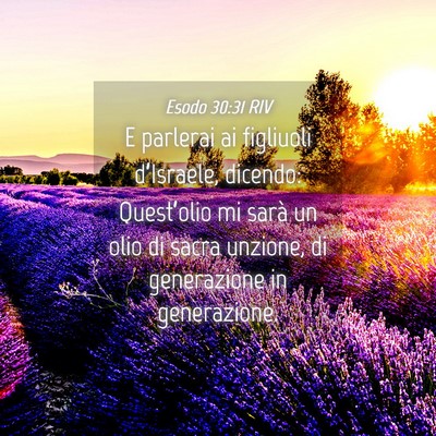 Picture 04 - Esodo 30:31 RIV - E parlerai ai figliuoli d’Israele, dicendo: - Bible Verse Picture