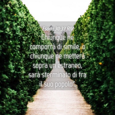 Picture 04 - Esodo 30:33 RIV - Chiunque ne comporrà di simile, o chiunque ne - Bible Verse Picture