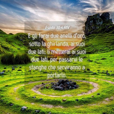 Picture 04 - Esodo 30:4 RIV - E gli farai due anelli d’oro, sotto la - Bible Verse Picture