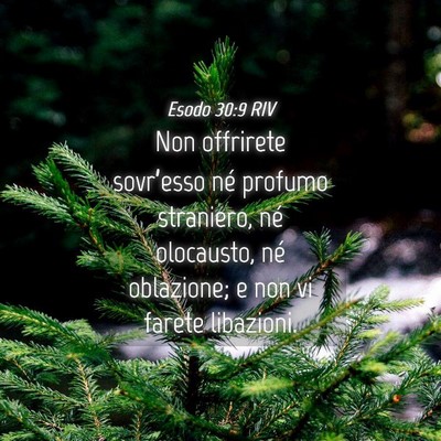 Picture 04 - Esodo 30:9 RIV - Non offrirete sovr’esso né profumo straniero, - Bible Verse Picture