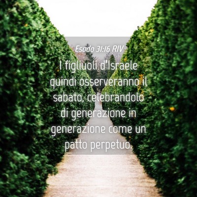 Picture 04 - Esodo 31:16 RIV - I figliuoli d’Israele quindi osserveranno il - Bible Verse Picture