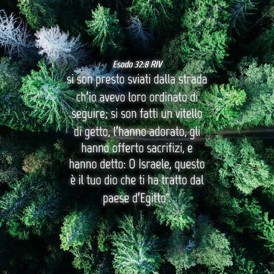 Picture 04 - Esodo 32:8 RIV - si son presto sviati dalla strada ch’io avevo - Bible Verse Picture