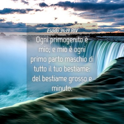 Picture 04 - Esodo 34:19 RIV - Ogni primogenito è mio; e mio è ogni primo - Bible Verse Picture