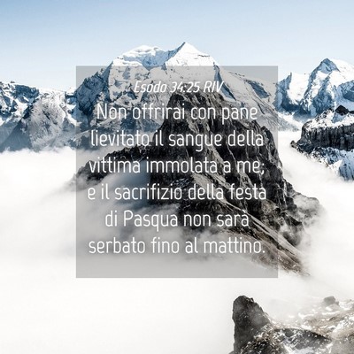 Picture 04 - Esodo 34:25 RIV - Non offrirai con pane lievitato il sangue della - Bible Verse Picture
