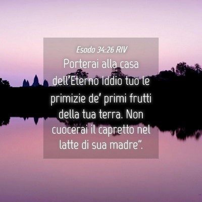 Picture 04 - Esodo 34:26 RIV - Porterai alla casa dell’Eterno Iddio tuo le - Bible Verse Picture