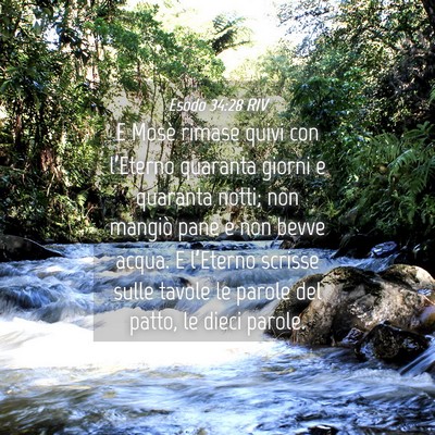 Picture 04 - Esodo 34:28 RIV - E Mosè rimase quivi con l’Eterno quaranta - Bible Verse Picture