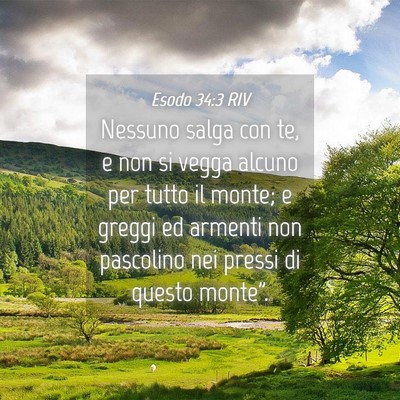 Picture 04 - Esodo 34:3 RIV - Nessuno salga con te, e non si vegga alcuno per - Bible Verse Picture