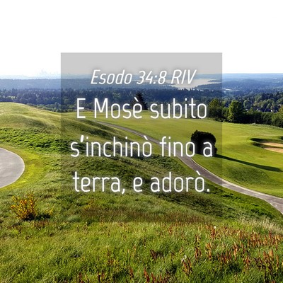 Picture 04 - Esodo 34:8 RIV - E Mosè subito s’inchinò fino a terra, e - Bible Verse Picture