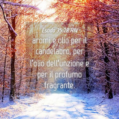 Picture 04 - Esodo 35:28 RIV - aromi e olio per il candelabro, per l’olio - Bible Verse Picture