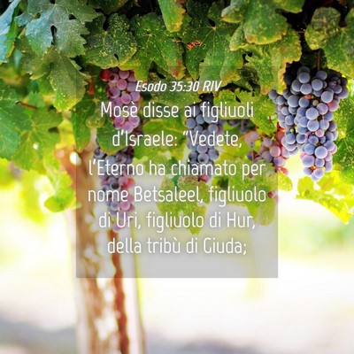 Picture 04 - Esodo 35:30 RIV - Mosè disse ai figliuoli d’Israele: “Vedete, - Bible Verse Picture