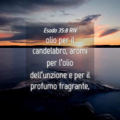 Picture 04 - Esodo 35:8 RIV - olio per il candelabro, aromi per l’olio - Bible Verse Picture