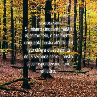 Picture 04 - Esodo 36:12 RIV - Si misero cinquanta nastri al primo telo, e - Bible Verse Picture