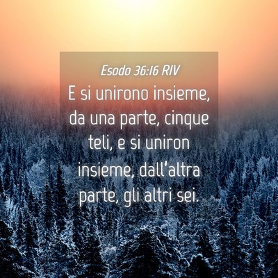 Picture 04 - Esodo 36:16 RIV - E si unirono insieme, da una parte, cinque teli, - Bible Verse Picture