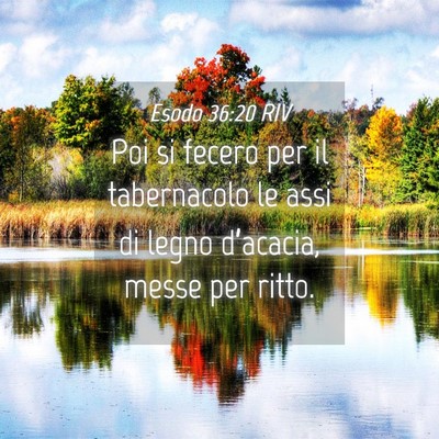 Picture 04 - Esodo 36:20 RIV - Poi si fecero per il tabernacolo le assi di legno - Bible Verse Picture