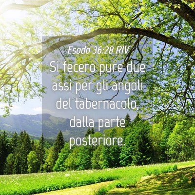 Picture 04 - Esodo 36:28 RIV - Si fecero pure due assi per gli angoli del - Bible Verse Picture
