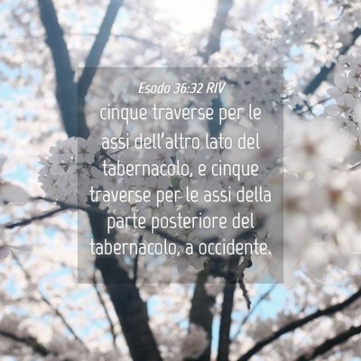 Picture 04 - Esodo 36:32 RIV - cinque traverse per le assi dell’altro lato del - Bible Verse Picture