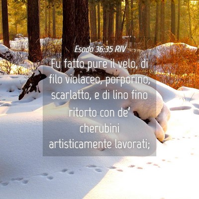 Picture 04 - Esodo 36:35 RIV - Fu fatto pure il velo, di filo violaceo, - Bible Verse Picture