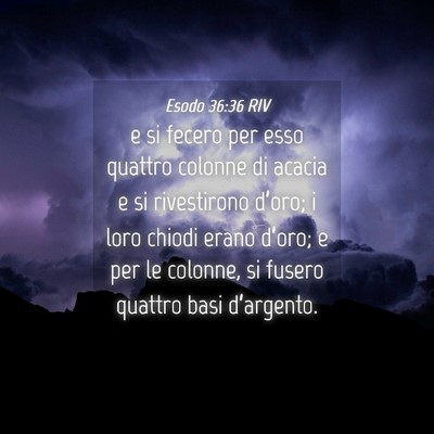 Picture 04 - Esodo 36:36 RIV - e si fecero per esso quattro colonne di acacia e - Bible Verse Picture