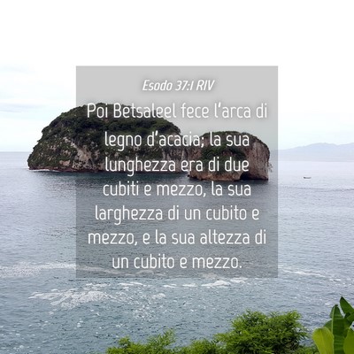 Picture 04 - Esodo 37:1 RIV - Poi Betsaleel fece l’arca di legno d’acacia; - Bible Verse Picture