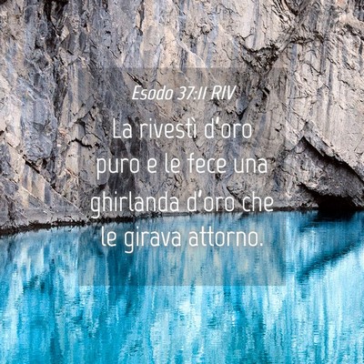 Picture 04 - Esodo 37:11 RIV - La rivestì d’oro puro e le fece una ghirlanda - Bible Verse Picture