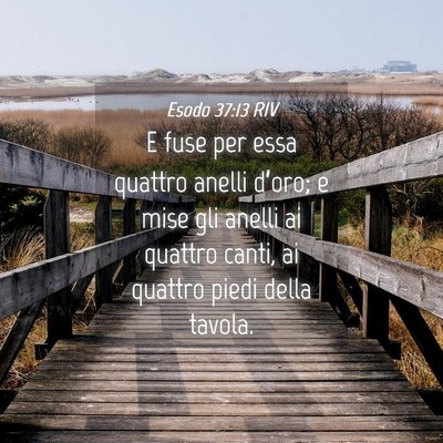 Picture 04 - Esodo 37:13 RIV - E fuse per essa quattro anelli d’oro; e mise - Bible Verse Picture