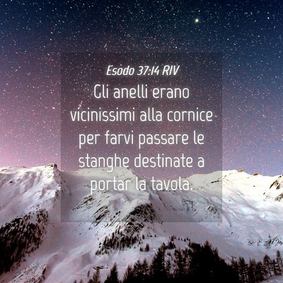 Picture 04 - Esodo 37:14 RIV - Gli anelli erano vicinissimi alla cornice per - Bible Verse Picture
