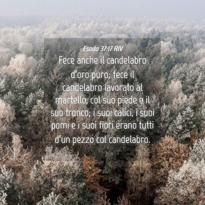 Picture 04 - Esodo 37:17 RIV - Fece anche il candelabro d’oro puro; fece il - Bible Verse Picture