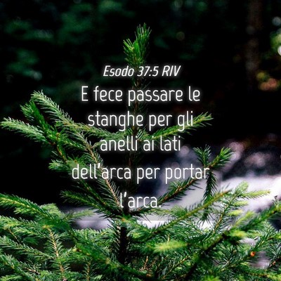 Picture 04 - Esodo 37:5 RIV - E fece passare le stanghe per gli anelli ai lati - Bible Verse Picture
