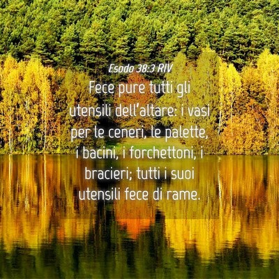 Picture 04 - Esodo 38:3 RIV - Fece pure tutti gli utensili dell’altare: i - Bible Verse Picture