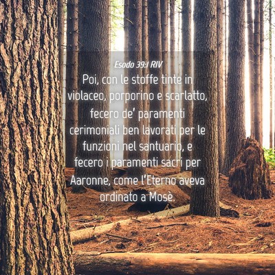 Picture 04 - Esodo 39:1 RIV - Poi, con le stoffe tinte in violaceo, porporino e - Bible Verse Picture