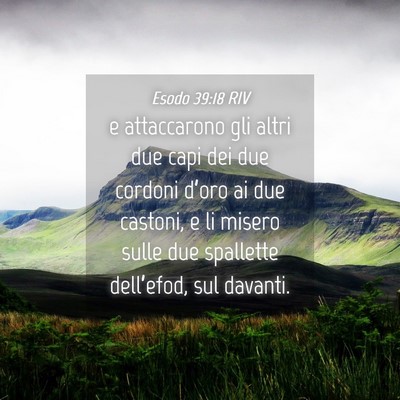 Picture 04 - Esodo 39:18 RIV - e attaccarono gli altri due capi dei due cordoni - Bible Verse Picture