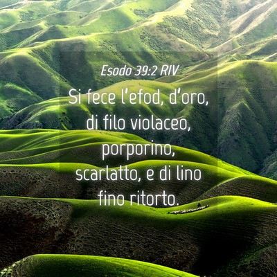 Picture 04 - Esodo 39:2 RIV - Si fece l’efod, d’oro, di filo violaceo, - Bible Verse Picture