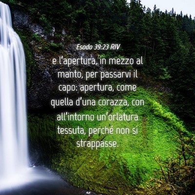 Picture 04 - Esodo 39:23 RIV - e l’apertura, in mezzo al manto, per passarvi - Bible Verse Picture