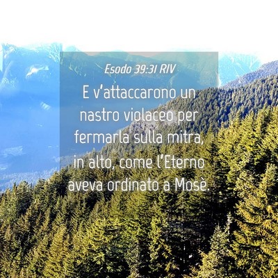 Picture 04 - Esodo 39:31 RIV - E v’attaccarono un nastro violaceo per fermarla - Bible Verse Picture