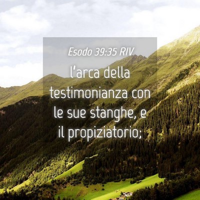 Picture 04 - Esodo 39:35 RIV - l’arca della testimonianza con le sue stanghe, - Bible Verse Picture