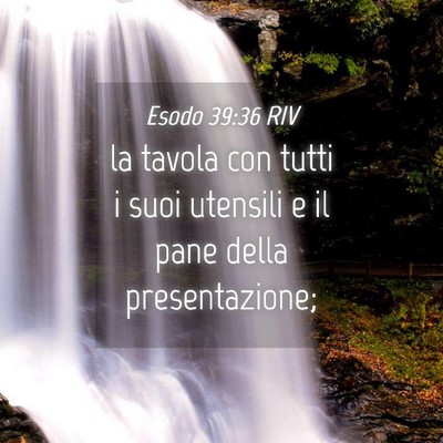 Picture 04 - Esodo 39:36 RIV - la tavola con tutti i suoi utensili e il pane - Bible Verse Picture