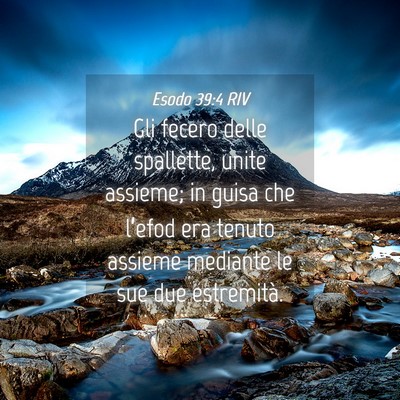 Picture 04 - Esodo 39:4 RIV - Gli fecero delle spallette, unite assieme; in - Bible Verse Picture