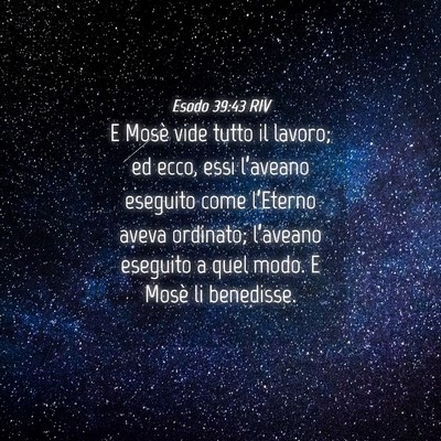 Picture 04 - Esodo 39:43 RIV - E Mosè vide tutto il lavoro; ed ecco, essi - Bible Verse Picture