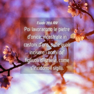 Picture 04 - Esodo 39:6 RIV - Poi lavorarono le pietre d’onice, incastrate in - Bible Verse Picture