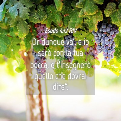 Picture 04 - Esodo 4:12 RIV - Or dunque va’, e io sarò con la tua bocca, e - Bible Verse Picture