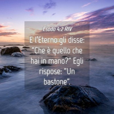 Picture 04 - Esodo 4:2 RIV - E l’Eterno gli disse: “Che è quello che hai - Bible Verse Picture