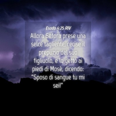 Picture 04 - Esodo 4:25 RIV - Allora Sefora prese una selce tagliente, recise - Bible Verse Picture