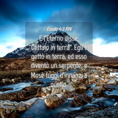 Picture 04 - Esodo 4:3 RIV - E l’Eterno disse: “Gettalo in terra”. Egli - Bible Verse Picture
