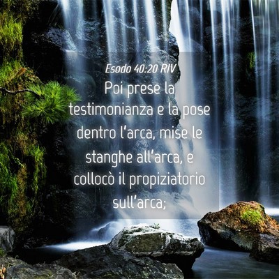 Picture 04 - Esodo 40:20 RIV - Poi prese la testimonianza e la pose dentro - Bible Verse Picture