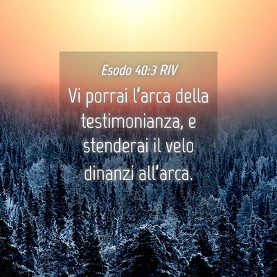 Picture 04 - Esodo 40:3 RIV - Vi porrai l’arca della testimonianza, e - Bible Verse Picture