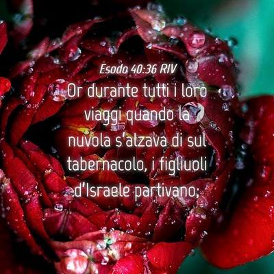 Picture 04 - Esodo 40:36 RIV - Or durante tutti i loro viaggi quando la nuvola - Bible Verse Picture